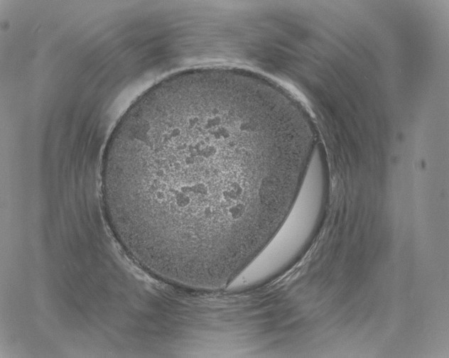 X0000060811279200511241926