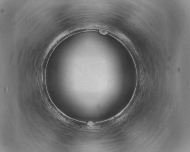 X0000060811280200511241926