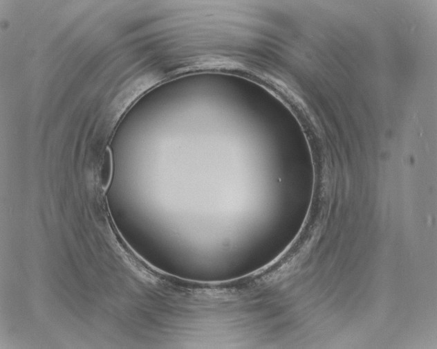 X0000060811281200511241926