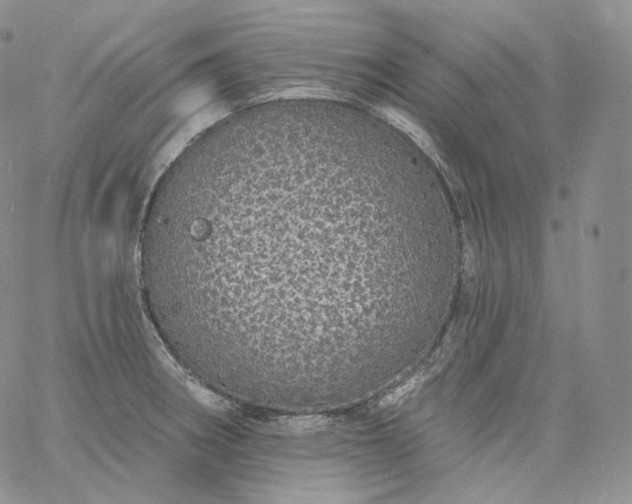 X0000060811282200511241926