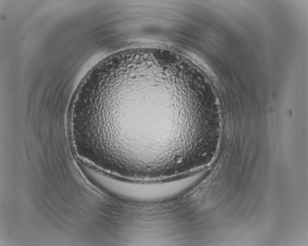 X0000060811283200511241926