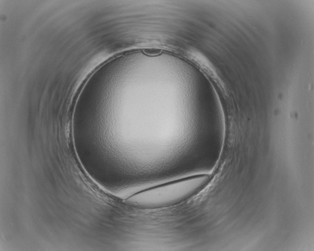 X0000060811284200511241926