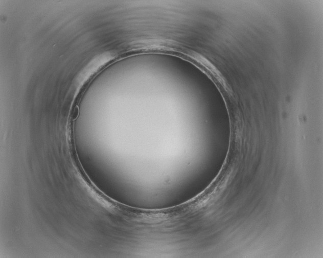 X0000060811285200511241926