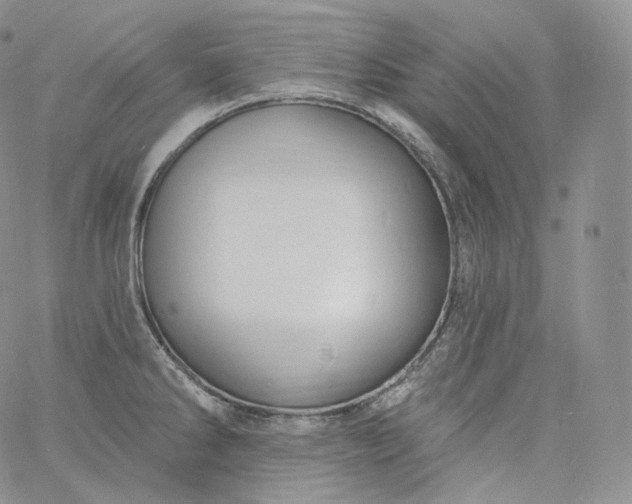 X0000060811286200511241926