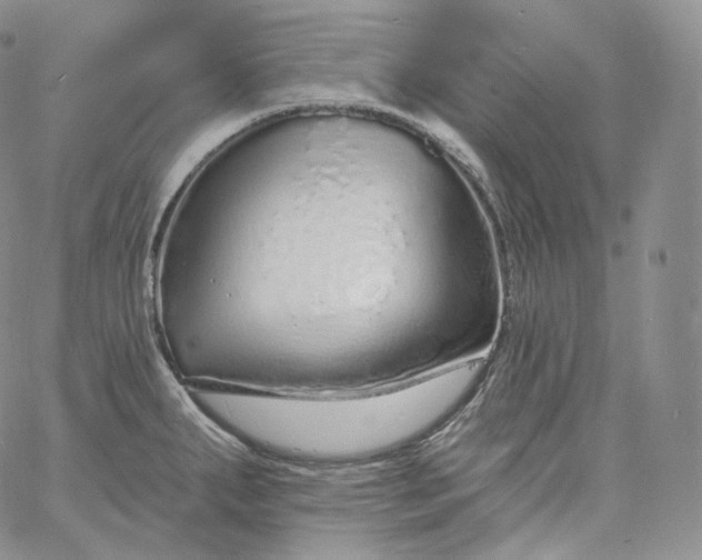 X0000060811287200511241926