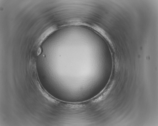 X0000060811289200511241926