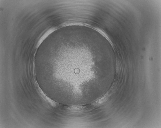 X0000060811290200511241926