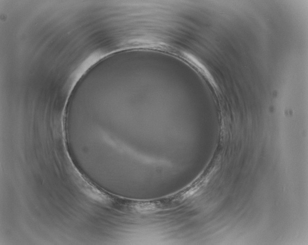 X0000060811291200511241926