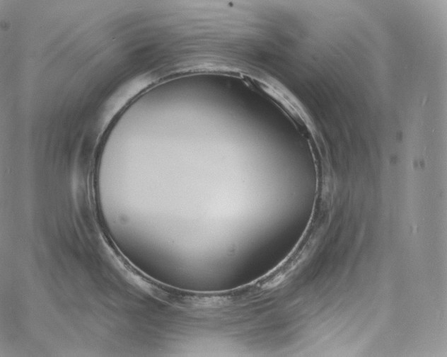 X0000060811293200511241926