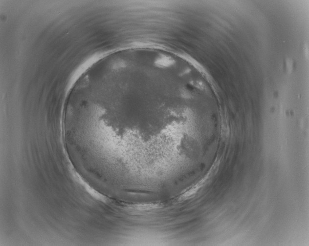 X0000060811294200511241926