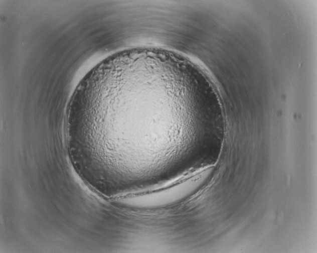 X0000060811295200511241926