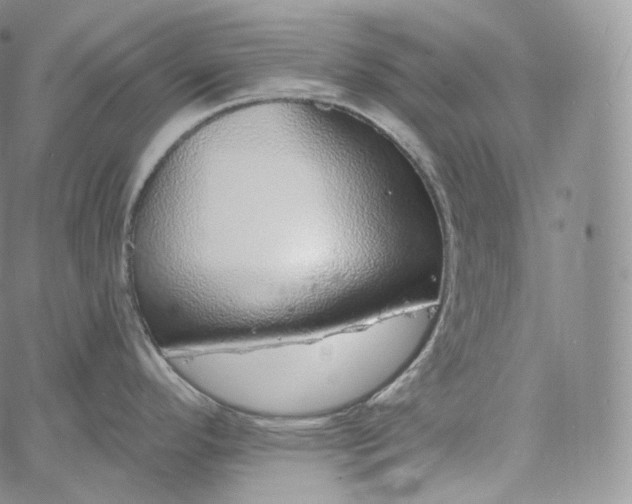 X0000060811296200511241926