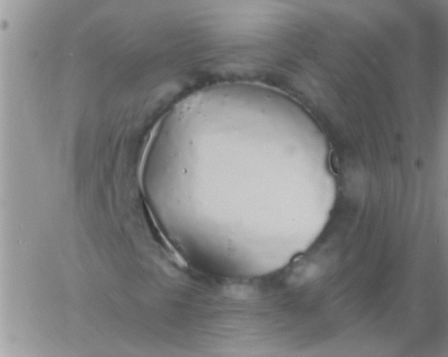 X0000060811297200511241925