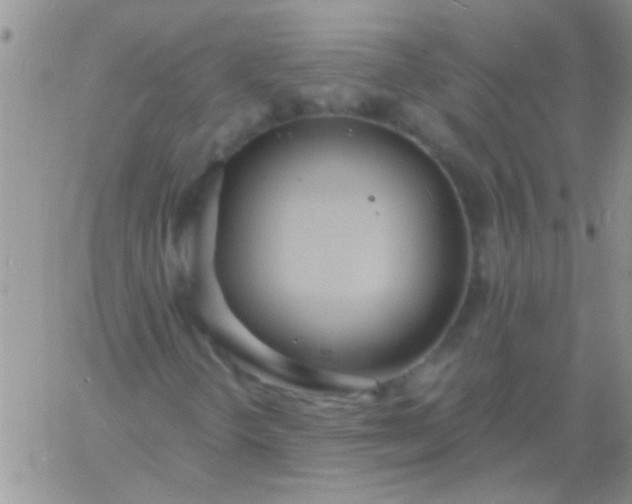 X0000060811298200511241925