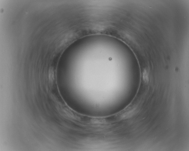 X0000060811299200511241925