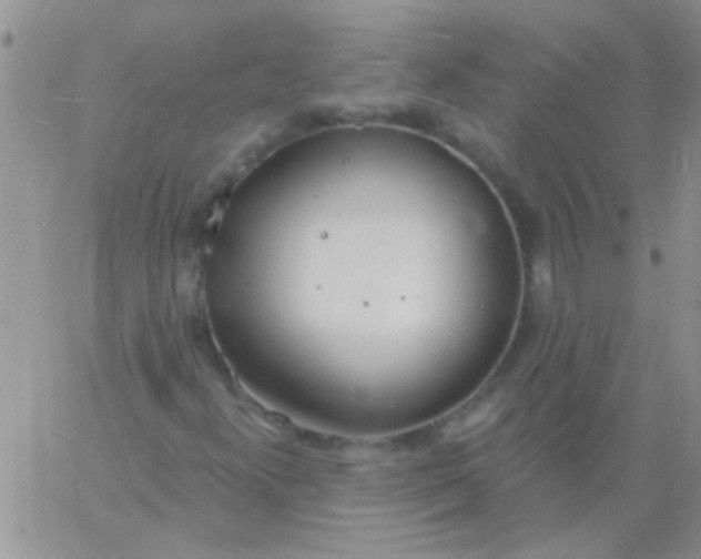 X0000060811300200511241925