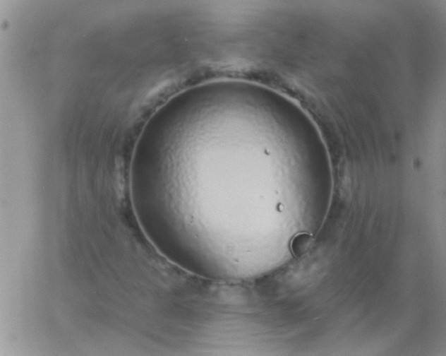 X0000060811301200511241925