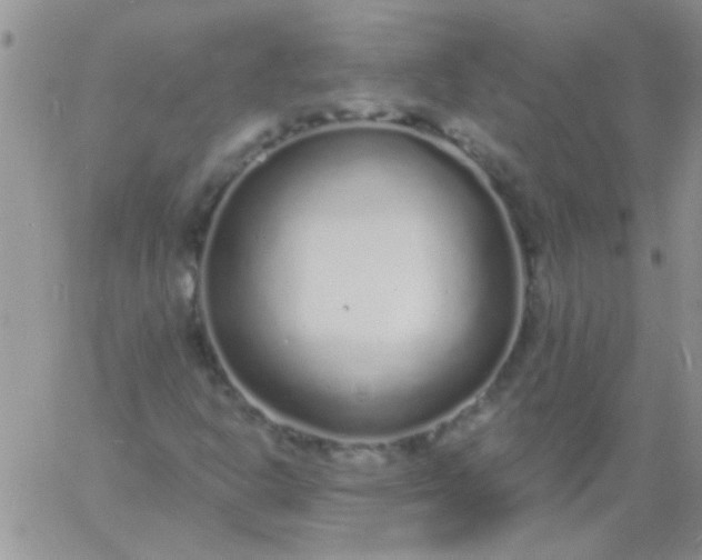 X0000060811302200511241925