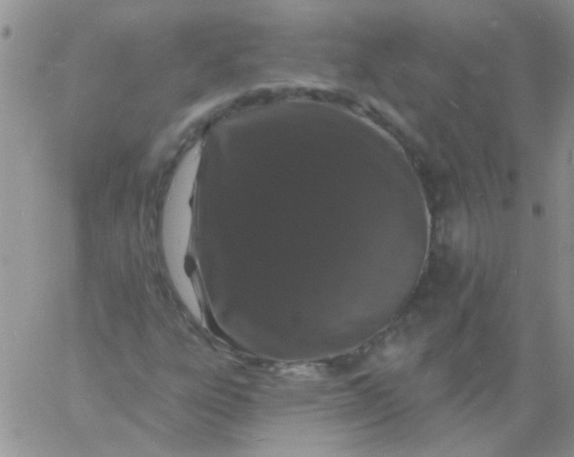 X0000060811303200511241925