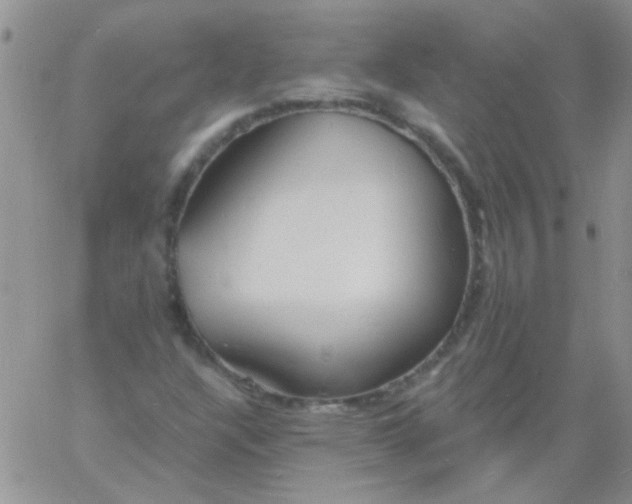 X0000060811304200511241925