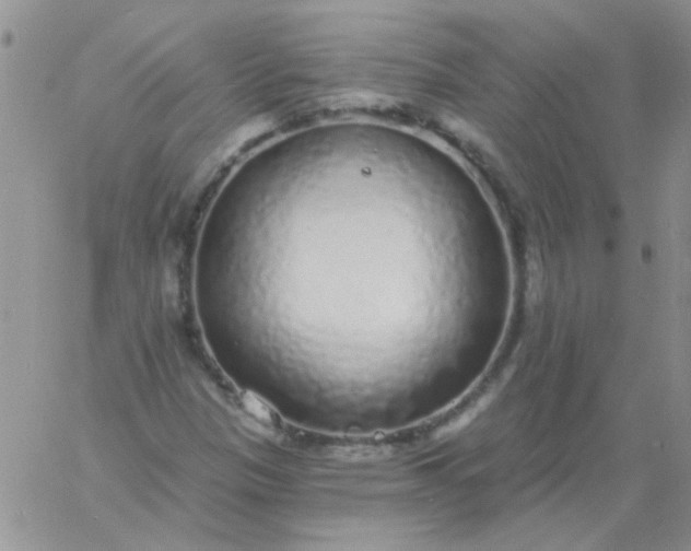 X0000060811305200511241925