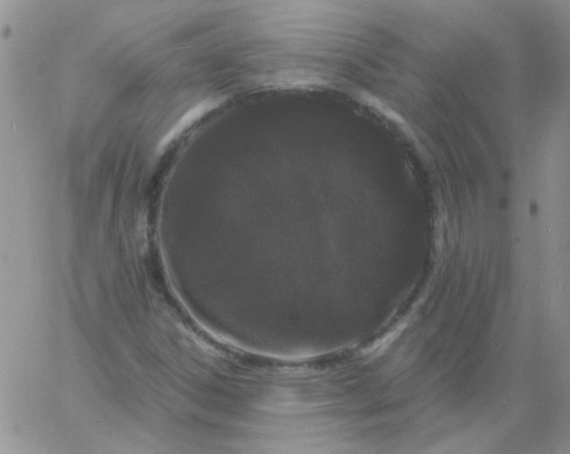 X0000060811306200511241925