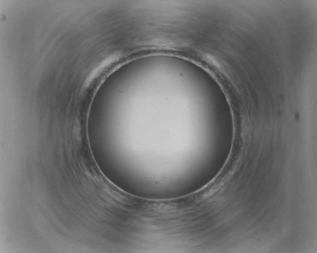 X0000060811307200511241925