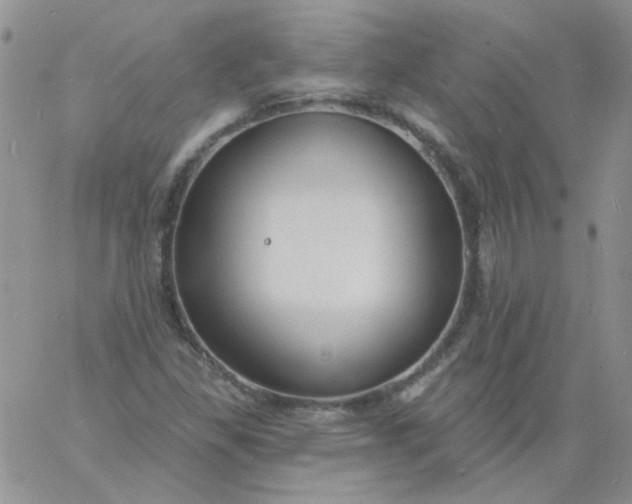 X0000060811309200511241925