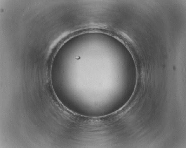 X0000060811310200511241925