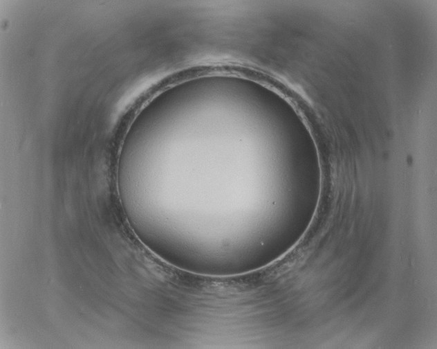 X0000060811311200511241925