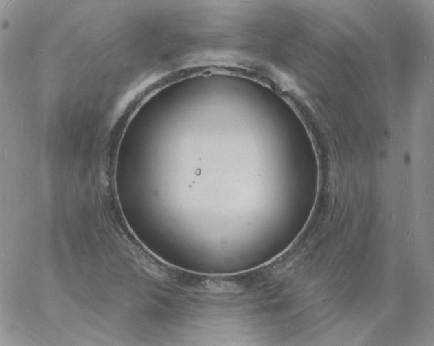 X0000060811312200511241925