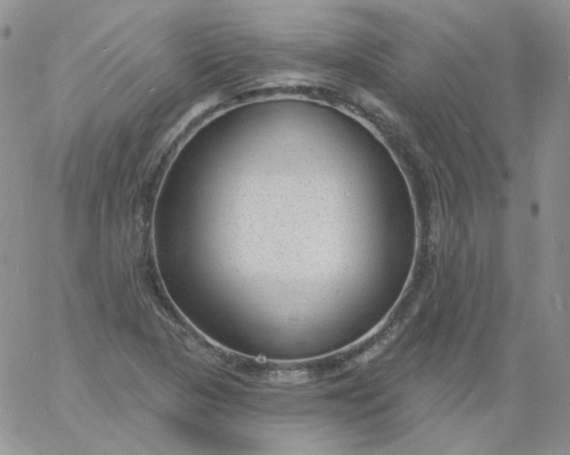 X0000060811313200511241925