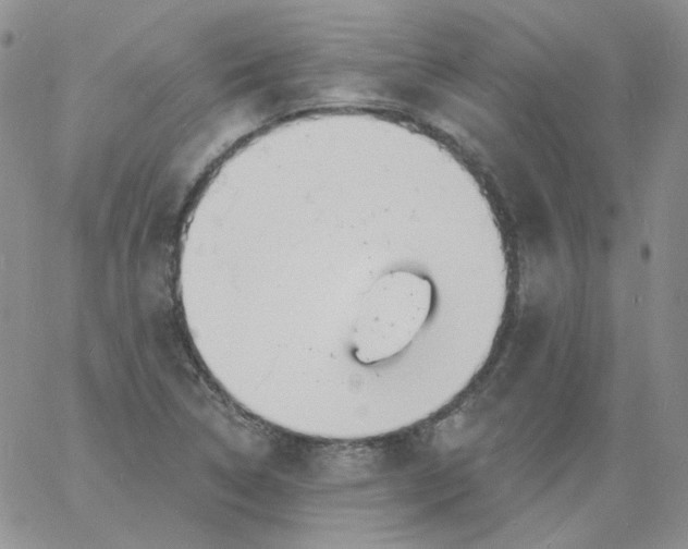 X0000060811314200511241925