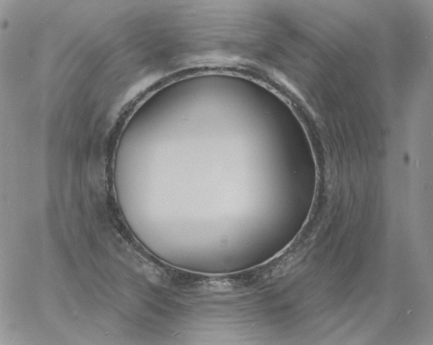 X0000060811315200511241925