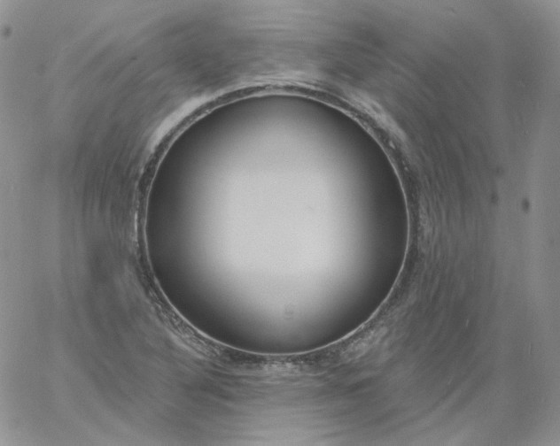 X0000060811316200511241925