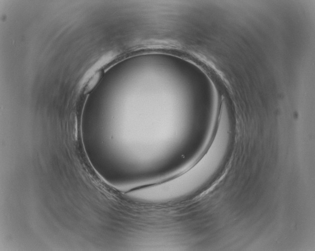 X0000060811317200511241925