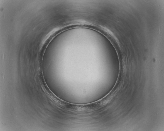 X0000060811318200511241925