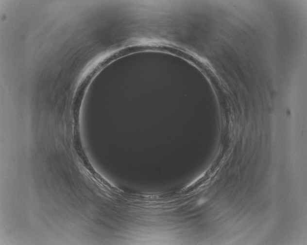 X0000060811319200511241925