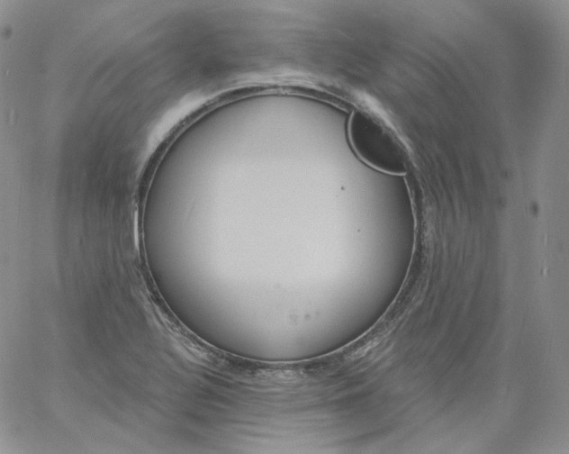 X0000060811320200511241925