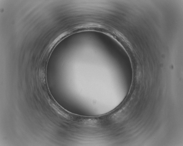 X0000060811321200511241925