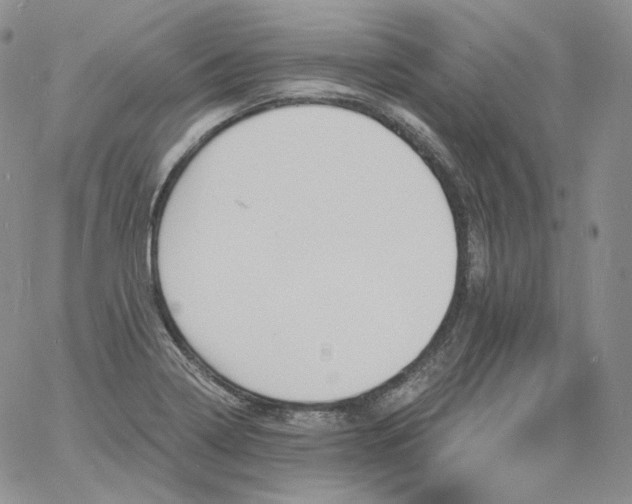 X0000060811322200511241925