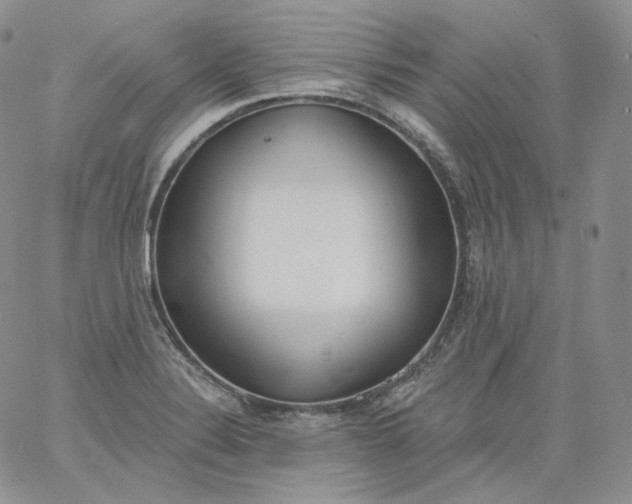 X0000060811324200511241926