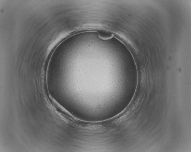 X0000060811325200511241926