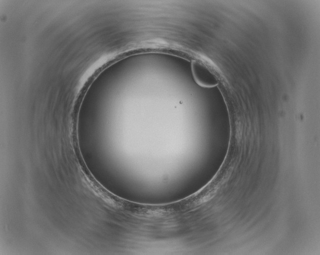 X0000060811326200511241926