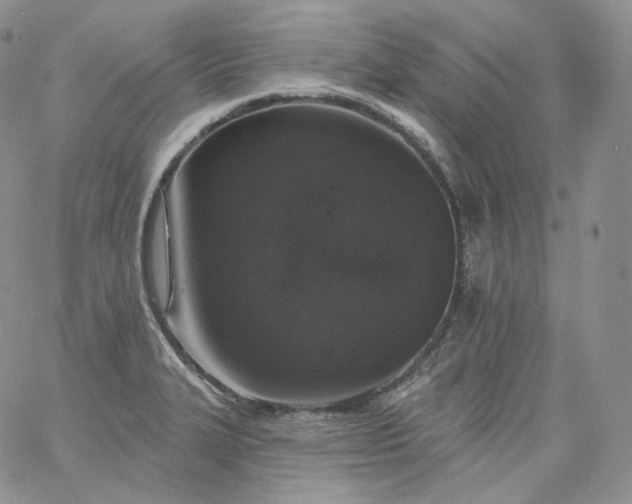 X0000060811327200511241926