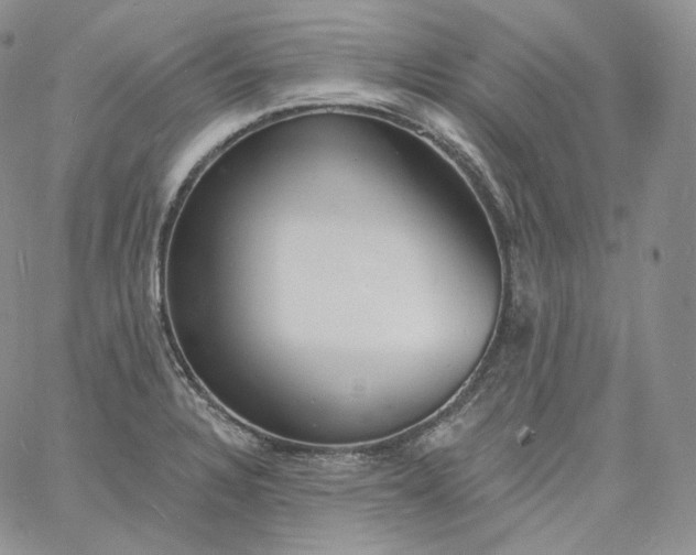 X0000060811328200511241926