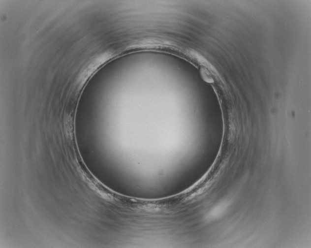 X0000060811329200511241926