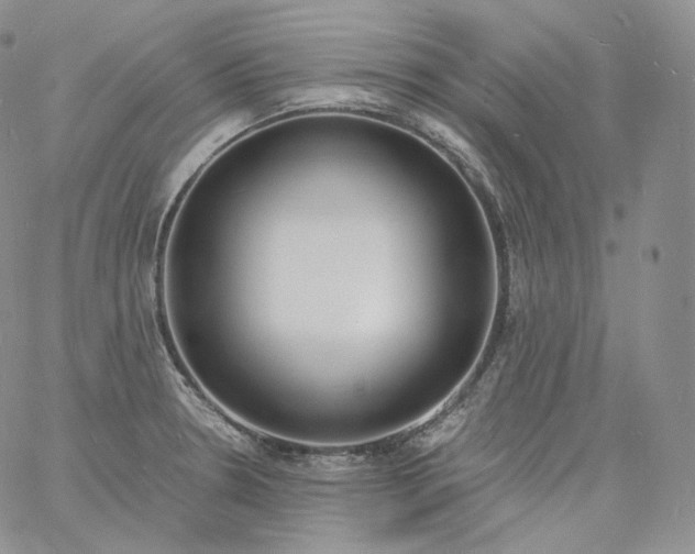 X0000060811330200511241926