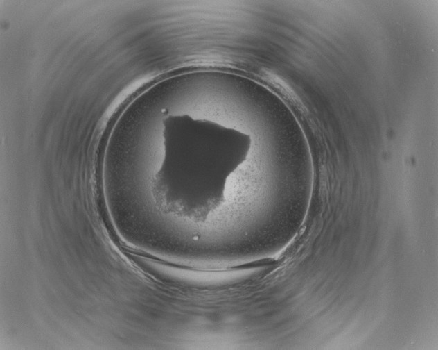 X0000060811331200511241926