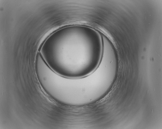 X0000060811332200511241926